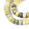 Glass Beads Strands GLAA-N059-5x8mm-32-3