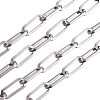 Tarnish Resistant 304 Stainless Steel Paperclip Chains STAS-R100-38-1