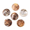 2-Hole Mother of Pearl Buttons SHEL-T012-43A-1