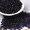 Transparent Colours Glass Seed Beads SEED-P006-02A-12-1