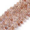 Natural Sunstone Beads Strands G-Z014-11-1