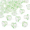 30Pcs Acrylic Bead Caps for Wind Chimes Making TACR-TA0001-69C-2