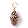 Natural Shell Pendants PALLOY-JF01164-02-2