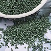 MIYUKI Delica Beads SEED-X0054-DB2312-1