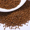 MIYUKI Delica Beads SEED-MY11-DB2109-1
