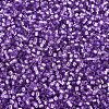 MIYUKI Delica Beads SEED-MY11-DB1343-3