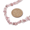 Natural Rose Quartz Chip Beaded Necklace NJEW-JN04615-13-3