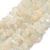 Natural White Moonstone Beads Strands G-P332-01-4