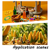 30Pcs 3 Styles Resin Cabochons RESI-DR0001-10-5