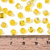 FGB Transparent Colours Glass Seed Beads SEED-Q040-07A-B03-4