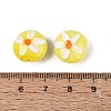 Handmade Lampwork Beads LAMP-Q039-09B-4