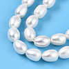 Natural Cultured Freshwater Pearl Beads Strands PEAR-N012-AA-01-4