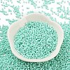 Baking Paint Glass Seed Beads SEED-S042-05B-61-2