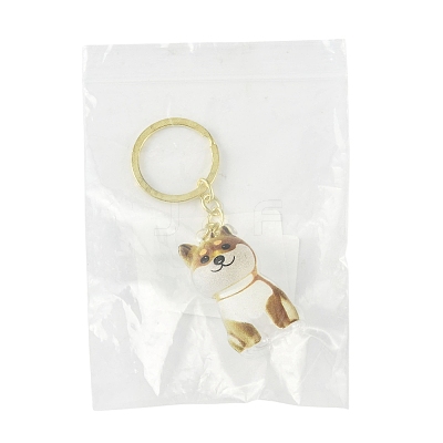 Iron Plastic Keychains KEYC-FZC0001-001D-G-1