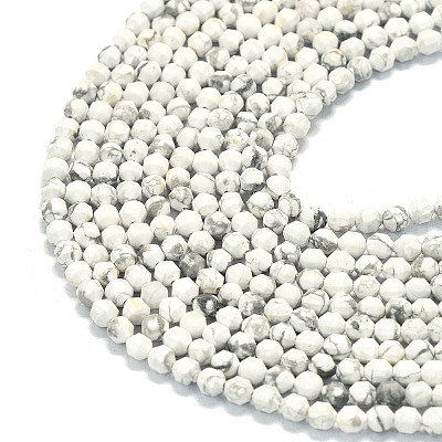 Natural Howlite Beads Strands G-A260-A25-01-1