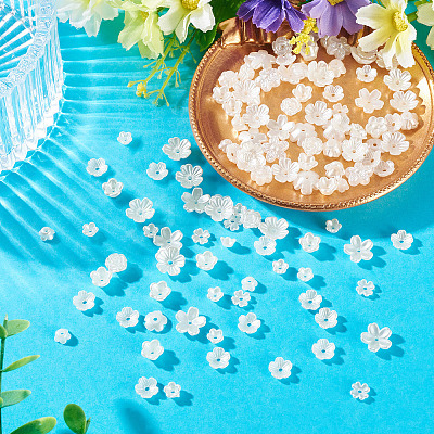 50G Pearlized ABS Plastic Beads KY-TADJ0001-05-1