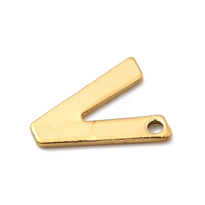 304 Stainless Steel Charms STAS-B093-12G-V-1