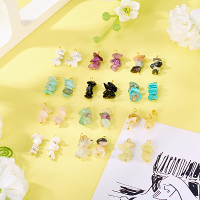 24Pcs 12 Styles Mixed Gemstone Chip Pendants PALLOY-TAC0166-1