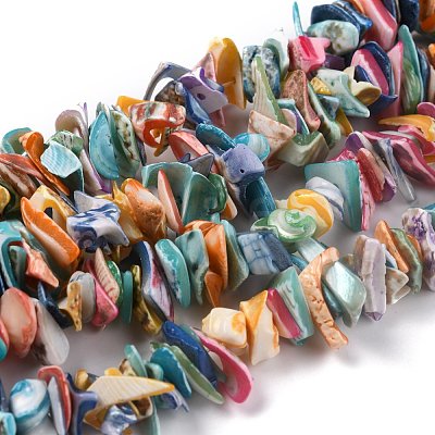 Natural Spiral Shell Beads X-BSHE-B003-17-1