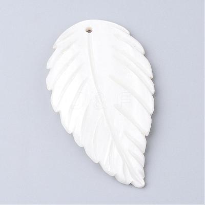Freshwater Shell Big Pendants SHEL-S249-02-1
