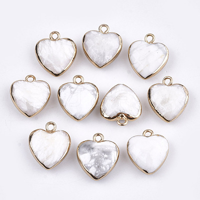 Electroplate Natural Howlite Pendants X-G-T112-03J-1