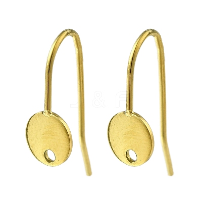 304 Stainless Steel Earring Hooks STAS-B087-09A-G-1