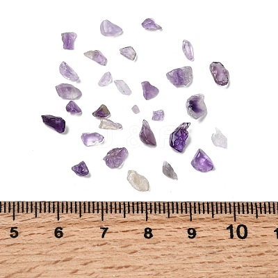 Natural Amethyst Chip Beads G-L453-06-1