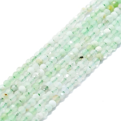 Natural Chrysoprase Beads Strands G-P457-A01-23-1