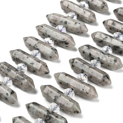 Natural Sesame Jasper Double Terminated Point Beads Strands G-H069-B05-01-1