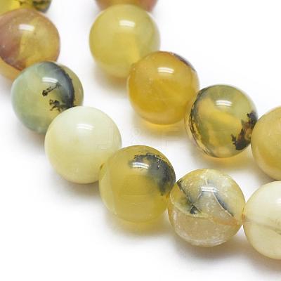 Natural Yellow Opal Round Bead Strands G-M296-02-8mm-1
