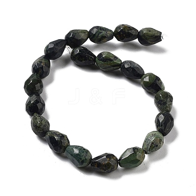 Natural Kambaba Jasper Beads Strands G-P520-B19-01-1