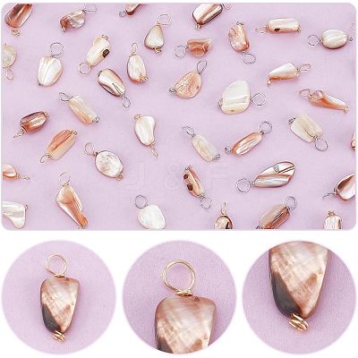 60Pcs 2 Colors Natural Seashell Nuggets Charms FIND-AR0005-68-1
