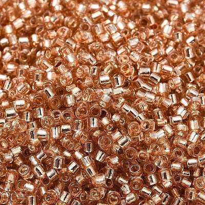 Glass Seed Beads SEED-S042-04B-17-1