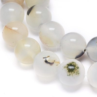 Natural Dendritic Agate Beads Strands G-D0005-18-10mm-1