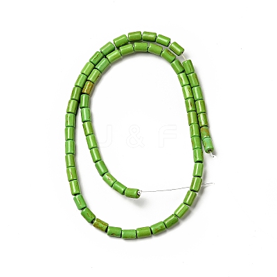 Synthetic Turquoise Beads Strands X-TURQ-G120-4x6mm-08-1