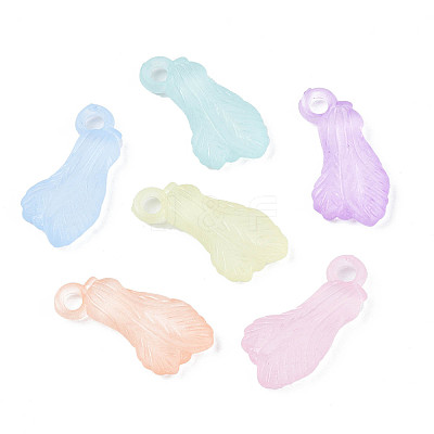 Transparent Acrylic Pendants TACR-S134-031-1