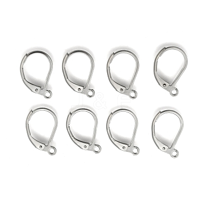Tarnish Resistant 304 Stainless Steel Leverback Earring Findings STAS-E007-3-1