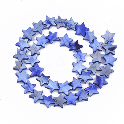 Freshwater Shell Beads Strands SHEL-S276-31B-1