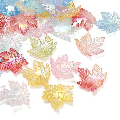 Transparent Acrylic Pendants AC-CBA5040-06-1