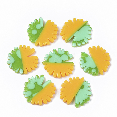 Acrylic Cabochons OACR-T020-021-1