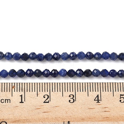 Natural Sodalite Beads Strands X-G-L622-C04-3mm-1