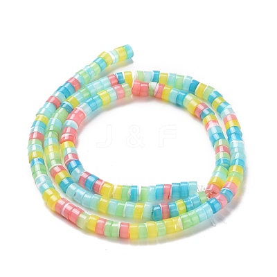 Natural Trochid Shell Beads Strands SSHEL-G023-02C-01-1