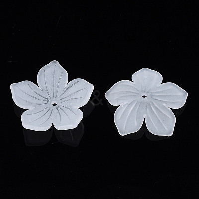 Transparent Acrylic Beads FACR-N005-004-1