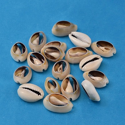 Natural Cowrie Shell Beads BSHE-S052-1