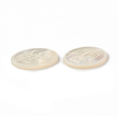 Natural Sea Shell Cabochons SSHEL-T012-14-1