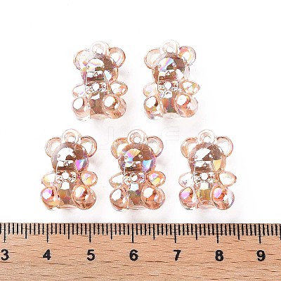 Transparent Acrylic Pendants LS-MACR-S373-113-C06-1