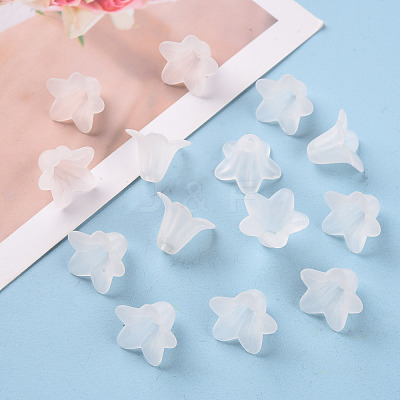 Transparent Acrylic Beads PLF018-01-1