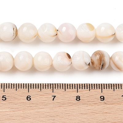Natural Freshwater Shell Beads Strands SHEL-T011-02-8mm-1