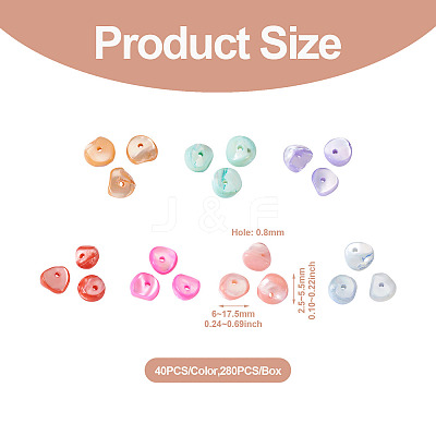 280Pcs 7 Colors Natural Freshwater Shell Beads SHEL-FW0001-02-1
