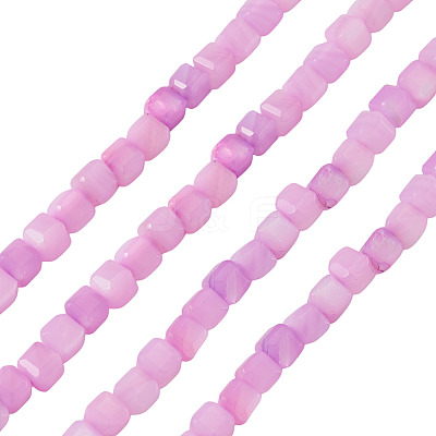 1 Strand Natural Freshwater Shell Dyed Beads Strands SHEL-TA0001-44B-1